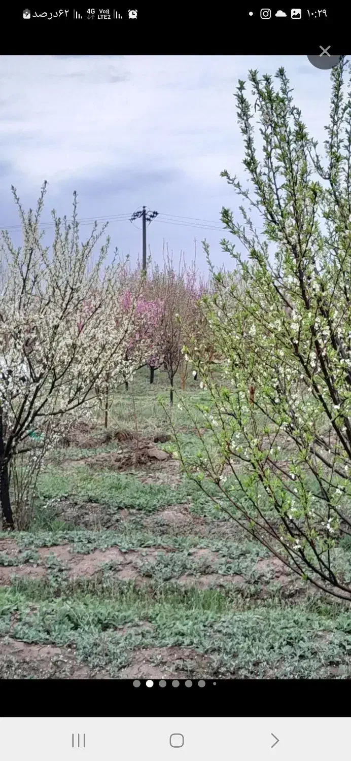 باغ ویلایی به متراژ 1500متر در گلجارمرند
