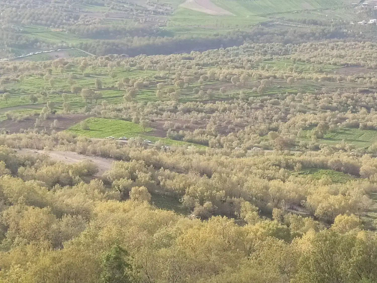 زمین فاز چهار فرهنگیان