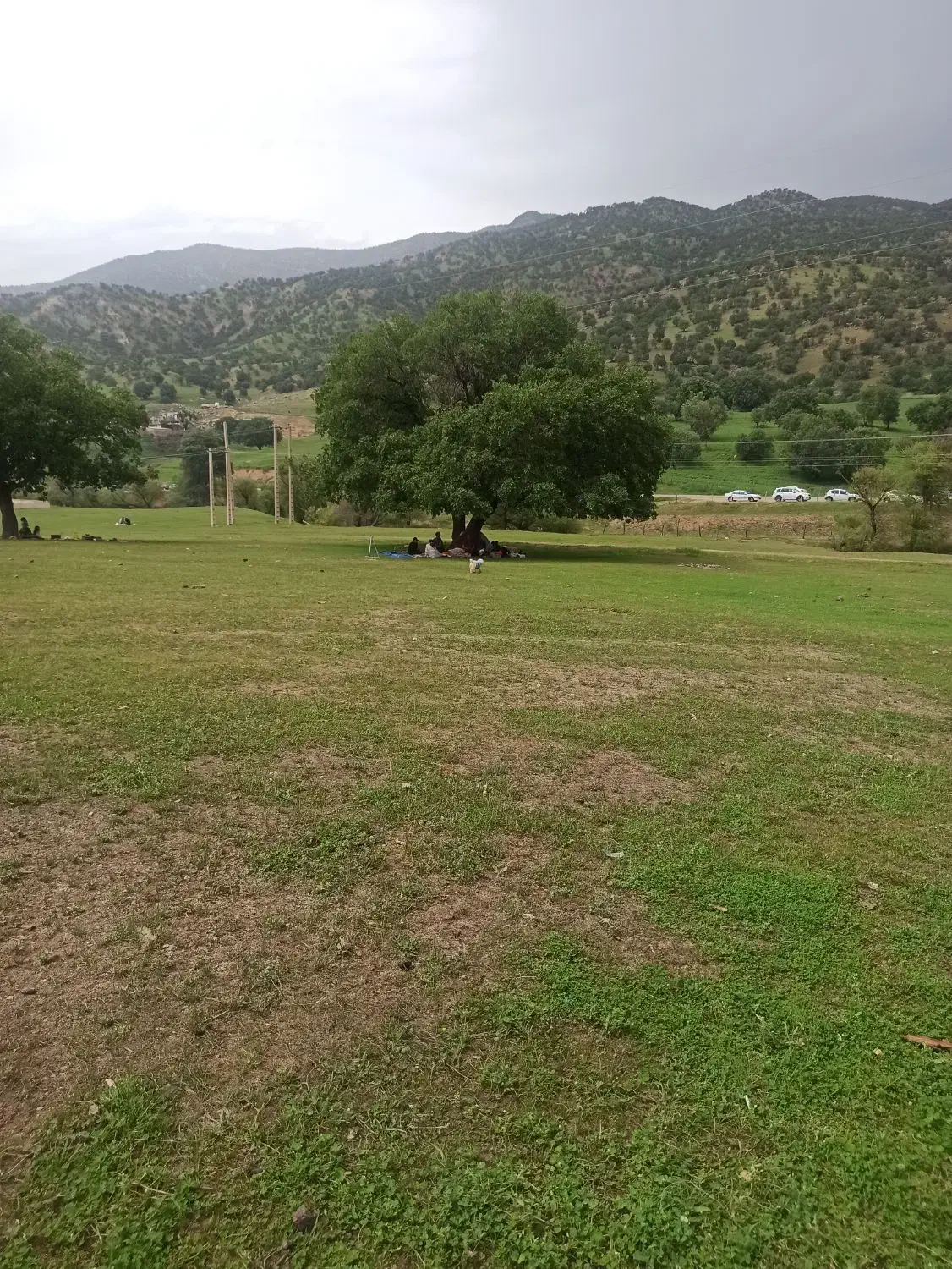 زمین ۱۵۰ متری باغ نو