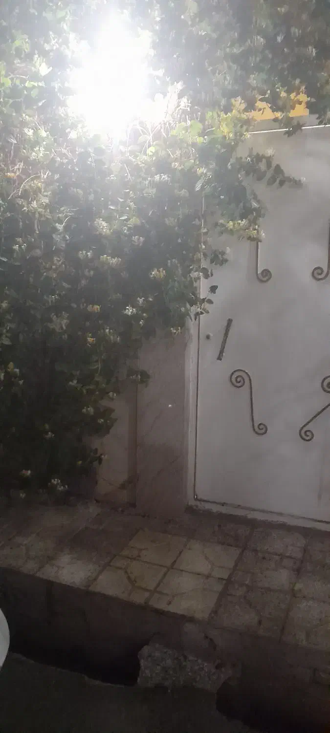۴۵متر خیابان ملاصدرا
