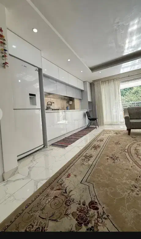 به دنبال همخانه خانم