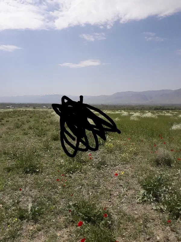 فروش‌زمین‌مسکونی