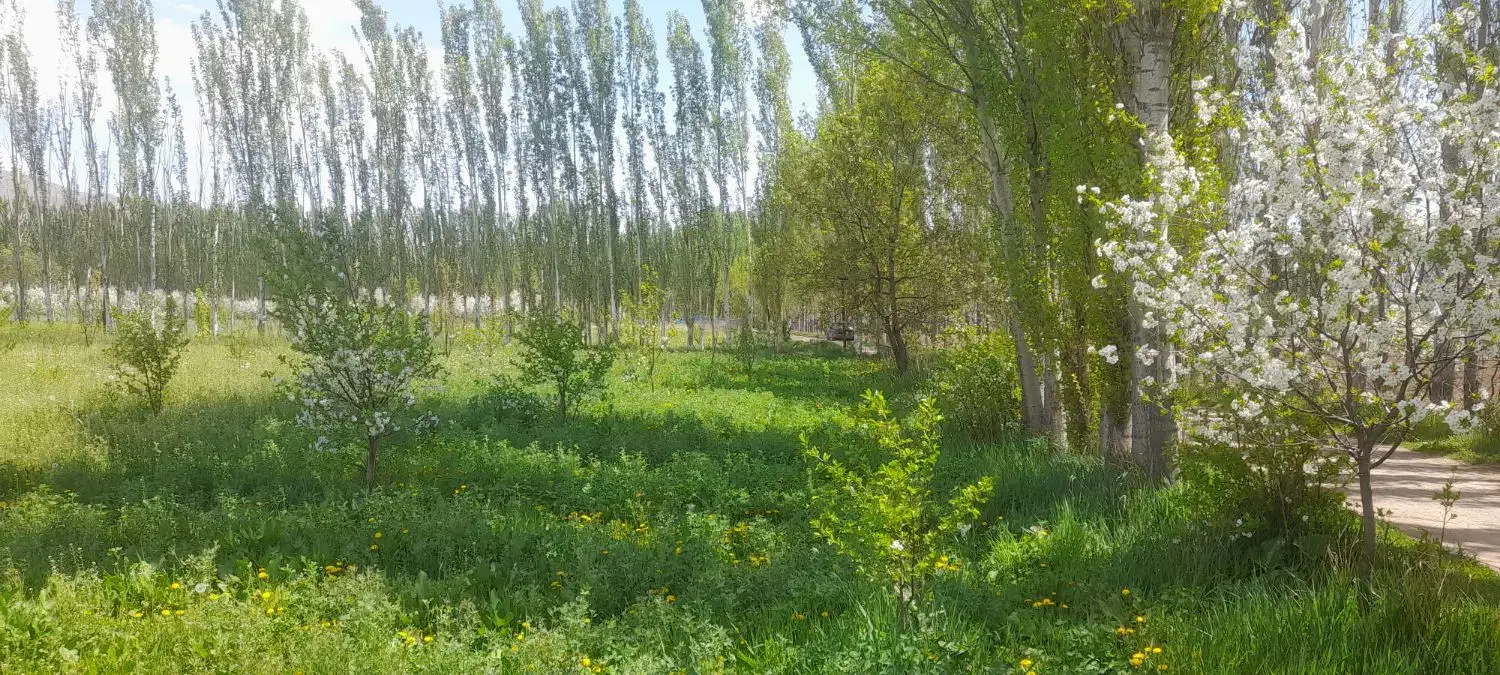 باغچه دنج وارام
