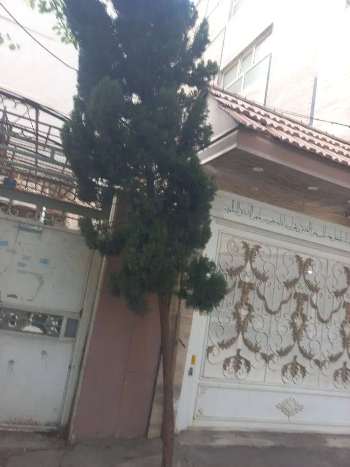فروش ۲۰۰ متر منزل کلنگی واقه در سفیر شمالی خ افتاب