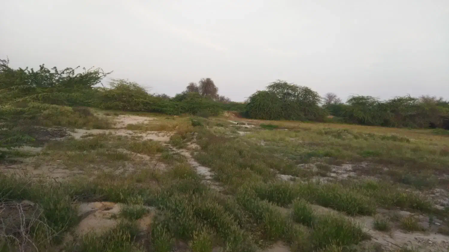 ۴۰۰ متر زمین ابشورک  شهرک برق