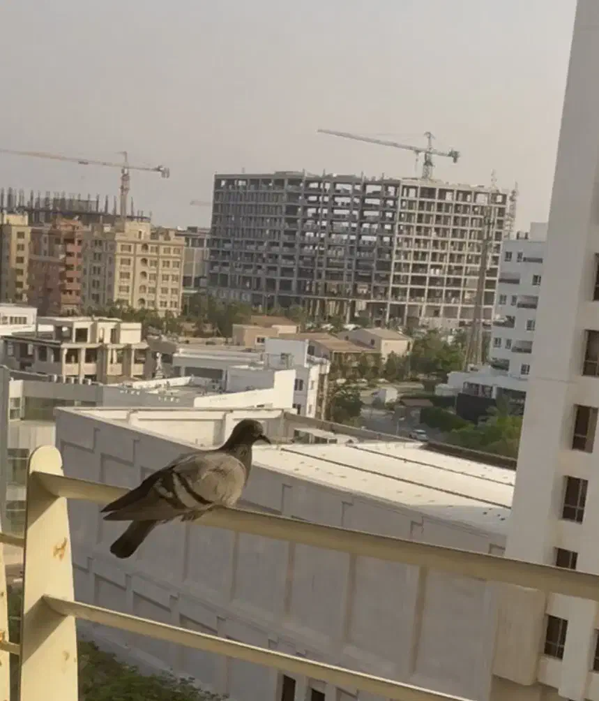 ۳ خوابه - برج مرکز شهر.