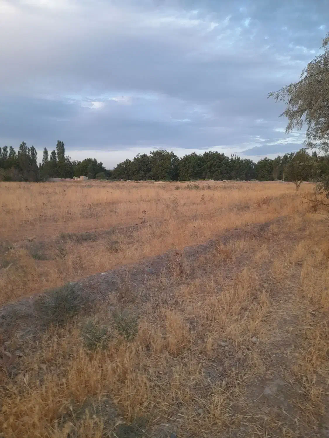 زمین زراعی برای ویلا و باغچه و
