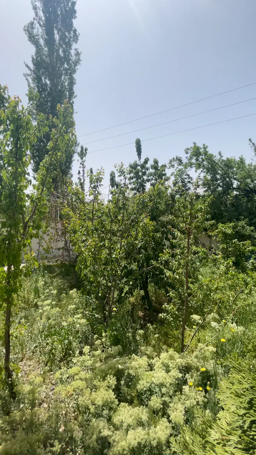 زمین ۱۰۰۰ متر آبسرد
