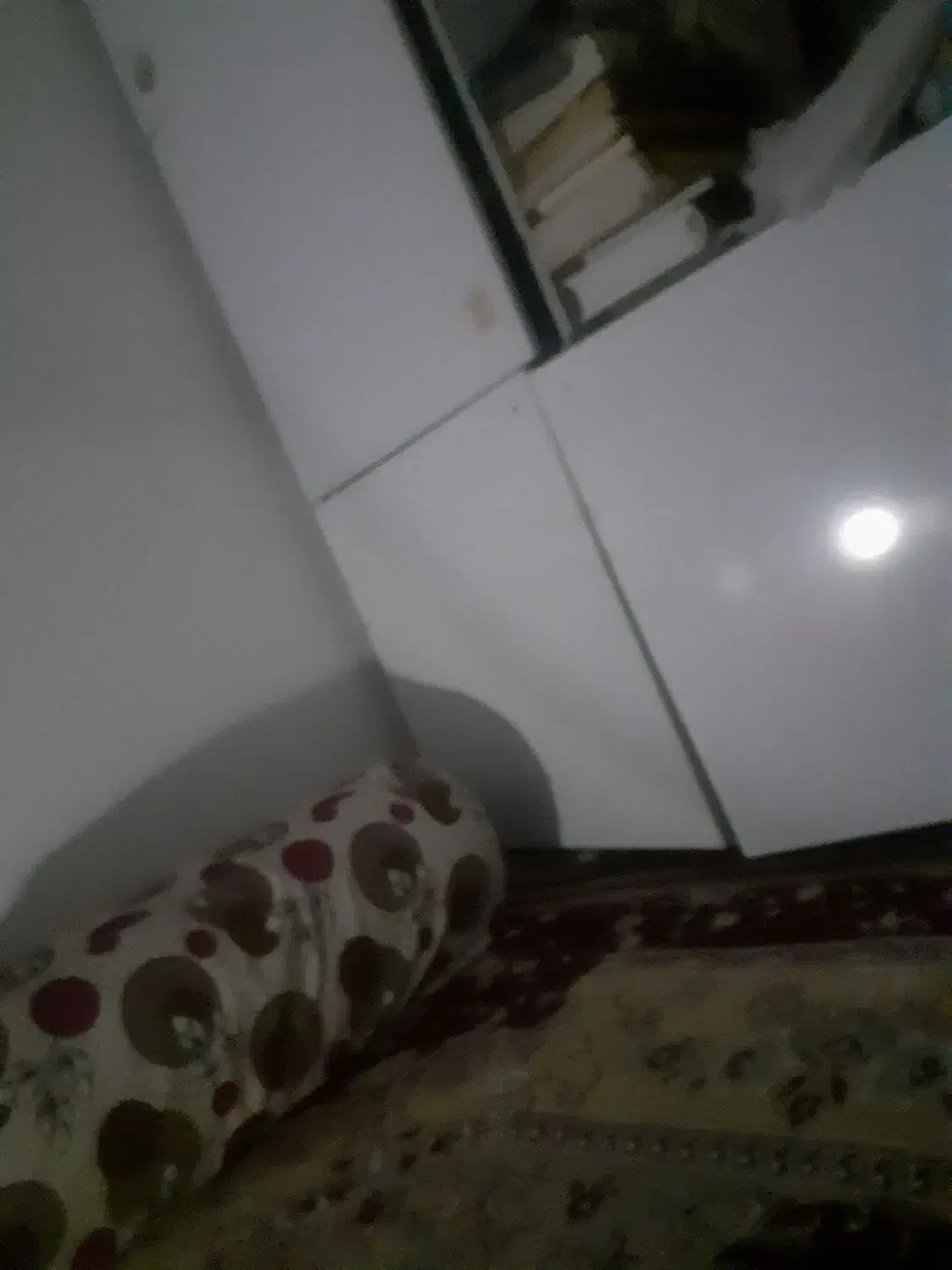 همخونه