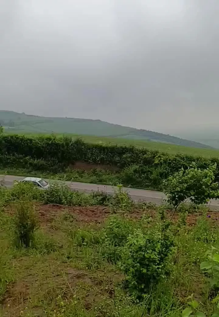 1300متر زمین باغی