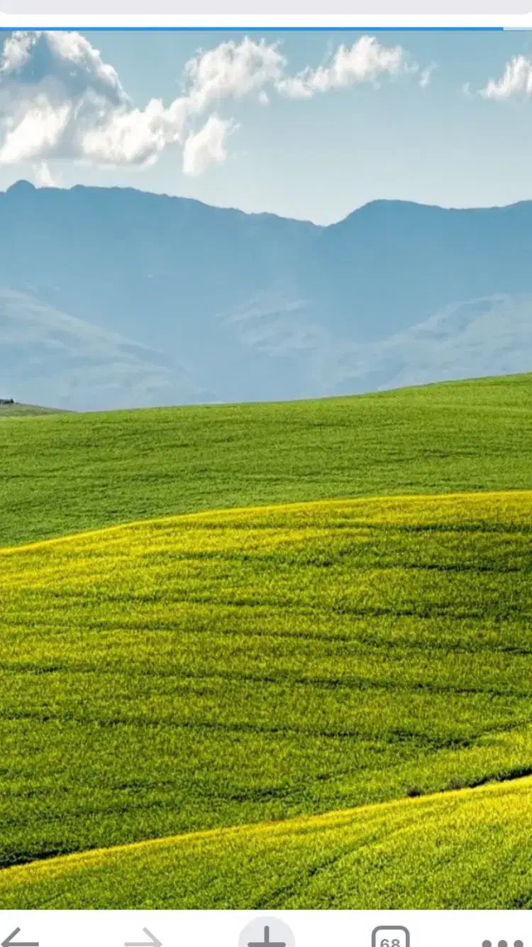 زمین کشاورزی ۱۷هکتار