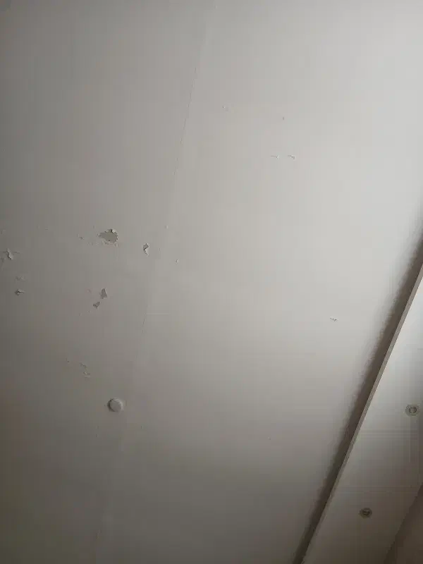 اجاره مغازه