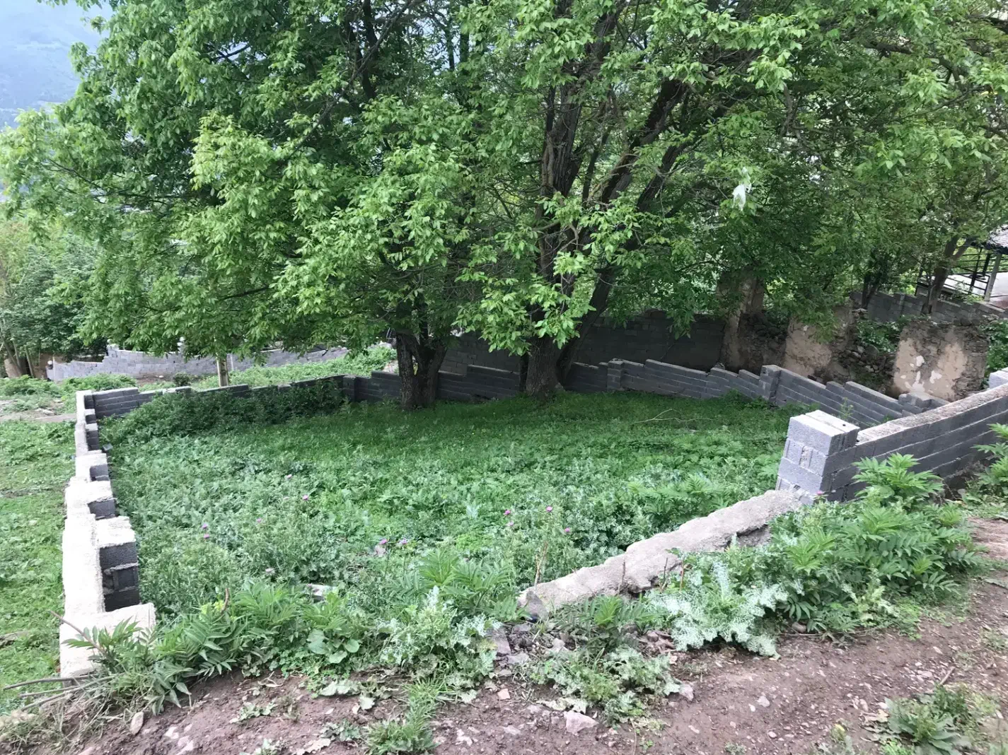زمین به متراژ ۲۱۹ متر در طویر مرزن آباد