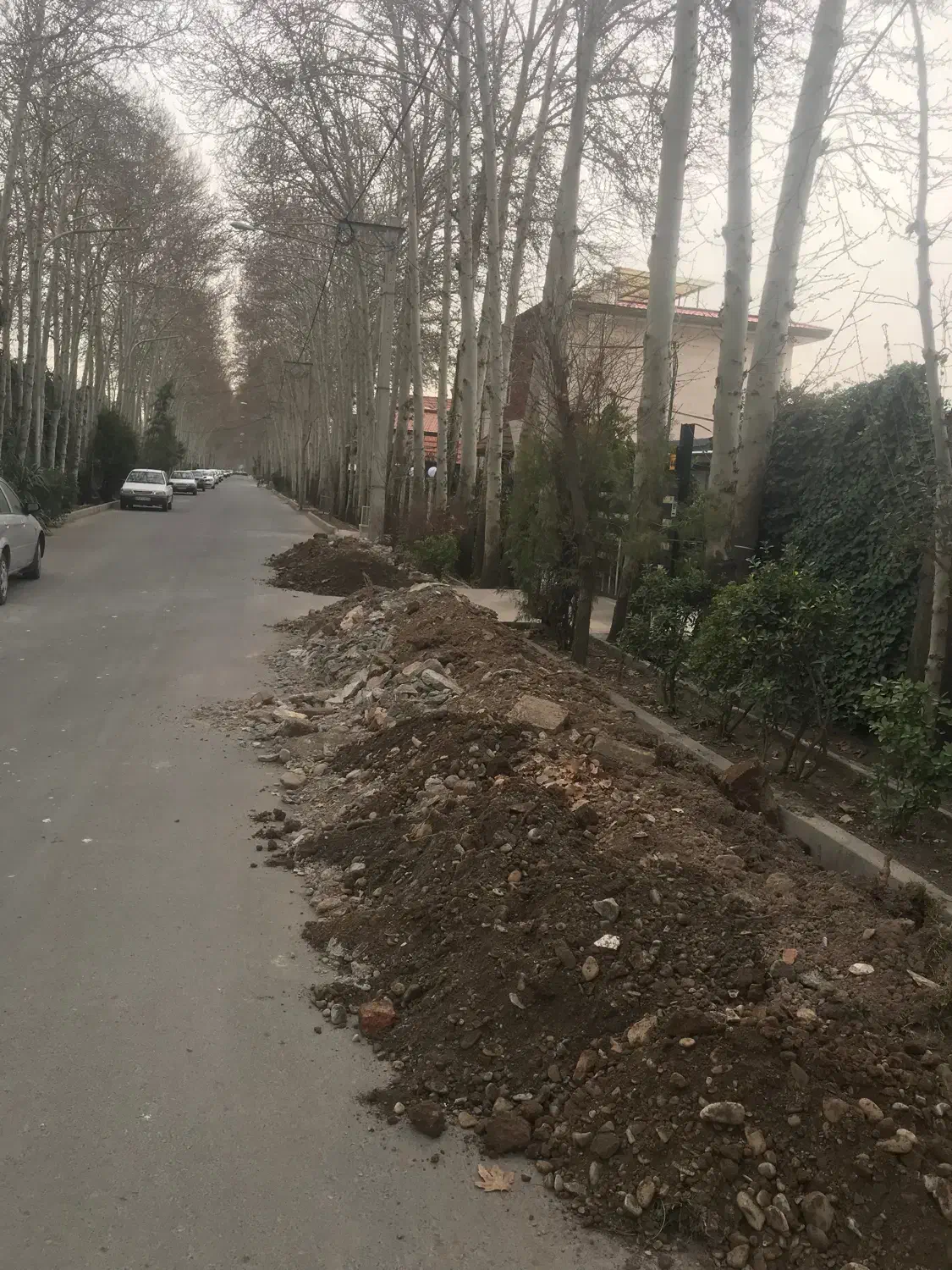 گل خانه هیدروپونیک