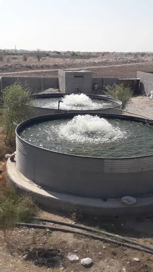 زمین کشاورزی با  سهمیه آب چاه