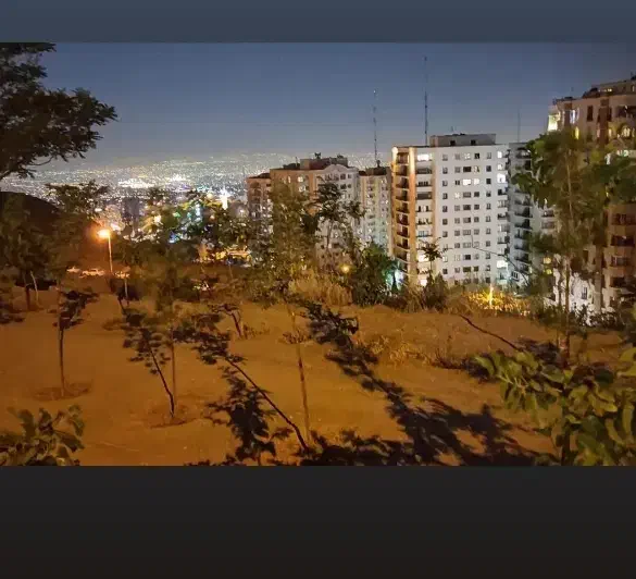 همخانه میشم
