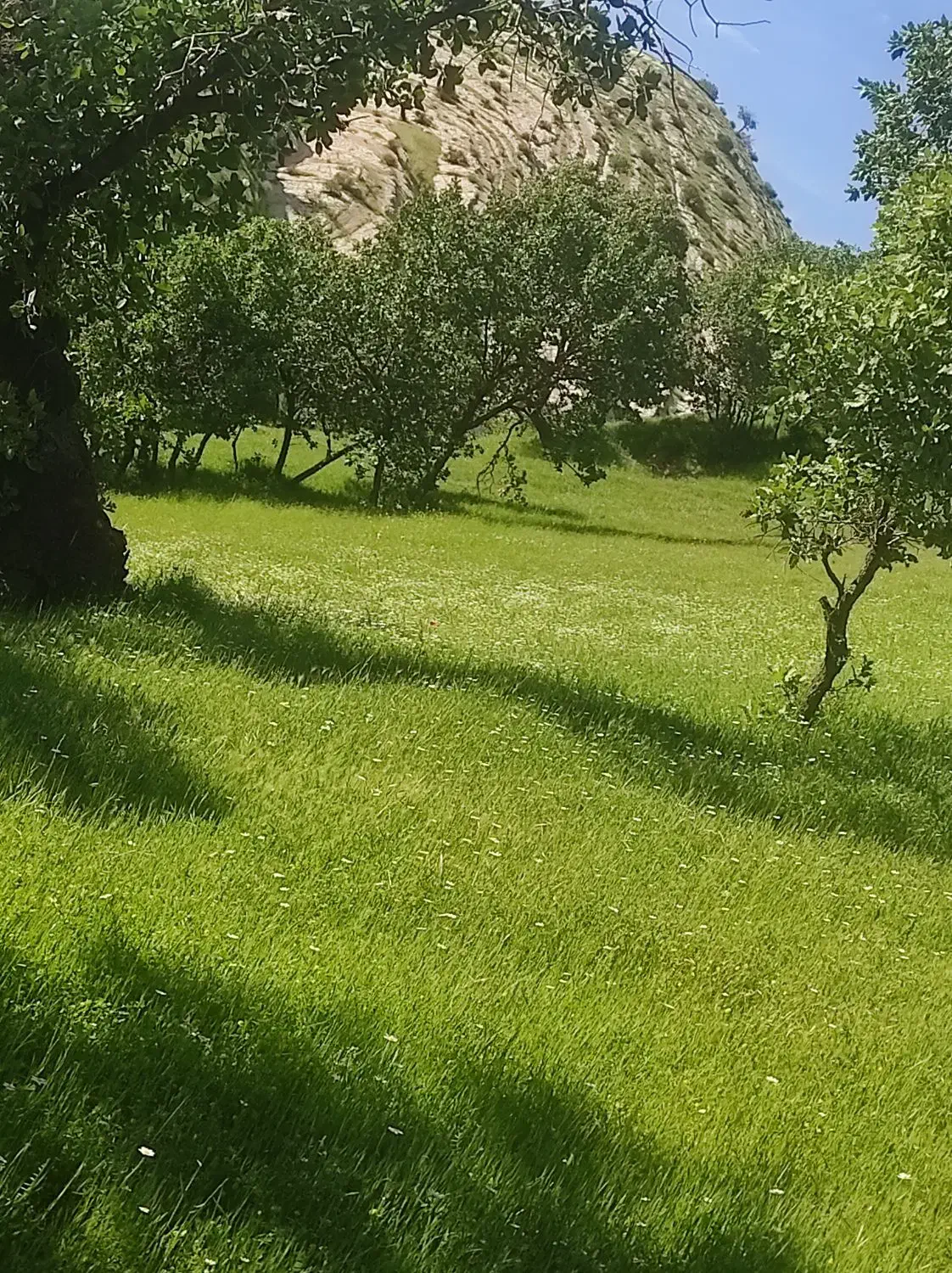 زمین و ساختمان