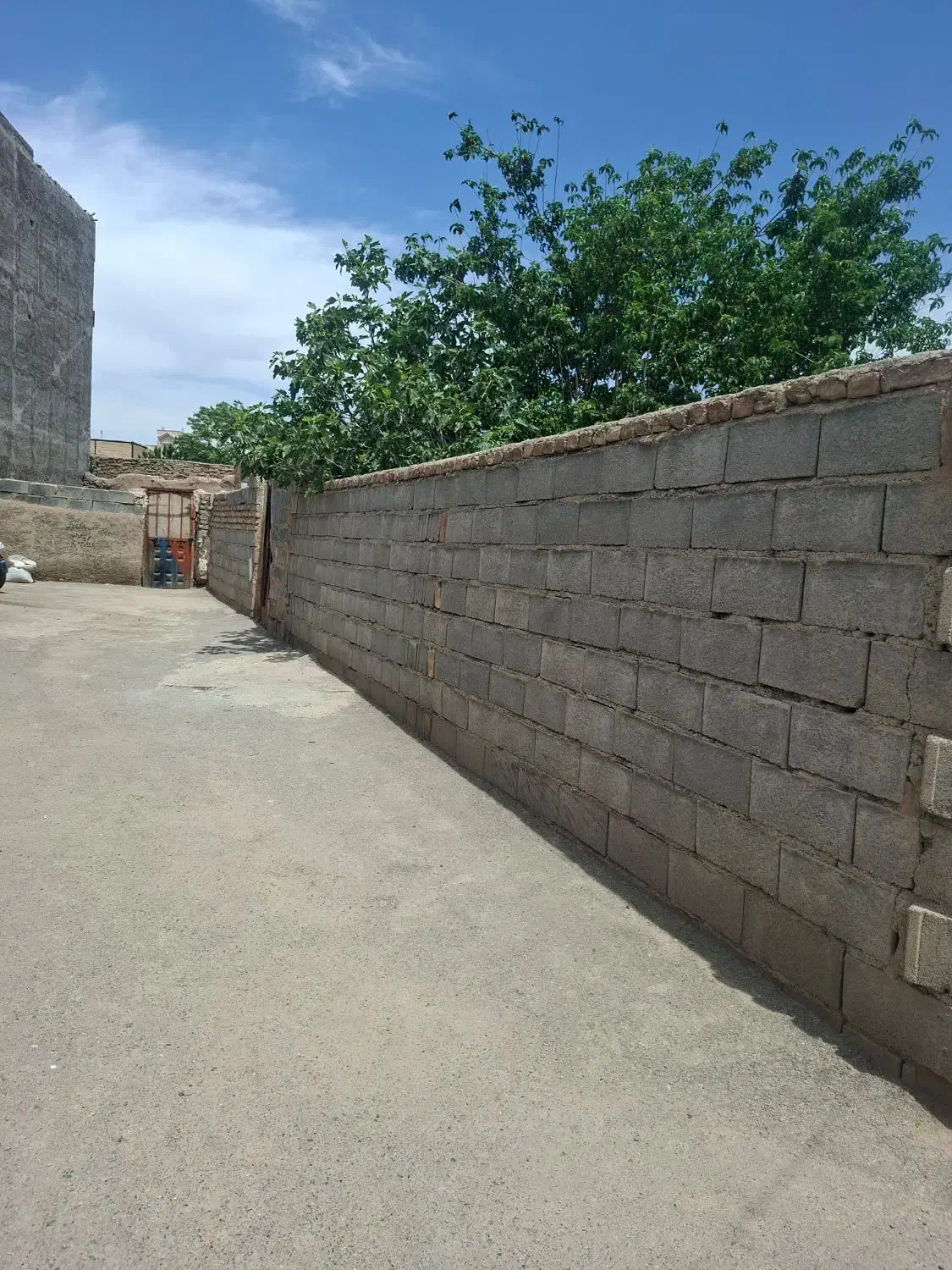 ملک کلنگی فیلستان