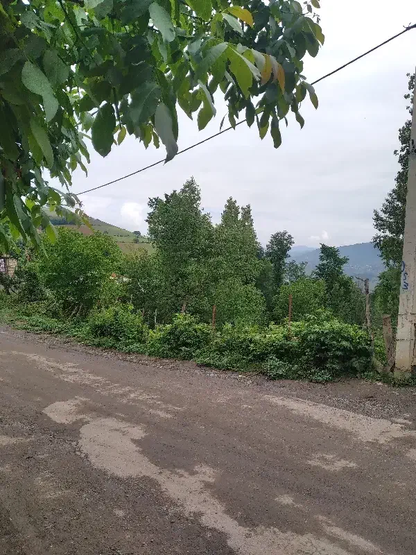 زمین مسکونی در شمال خاصکول