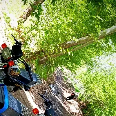 خونه باغ