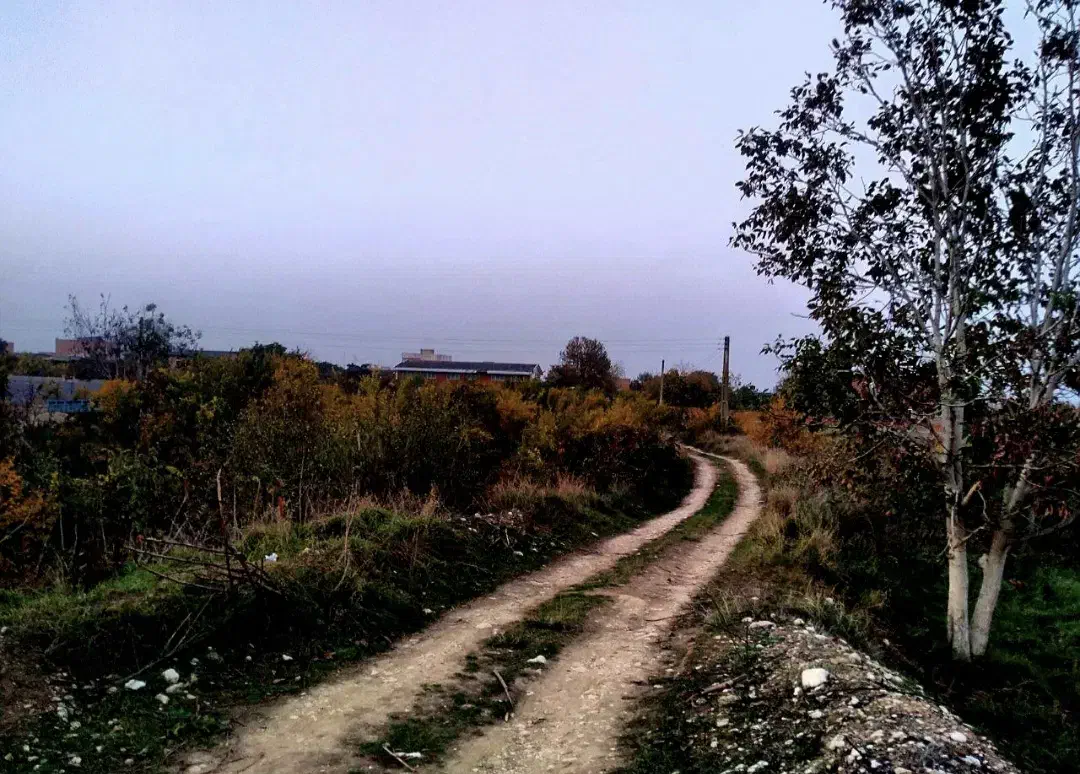 زمین زارعی باغ در مازندران