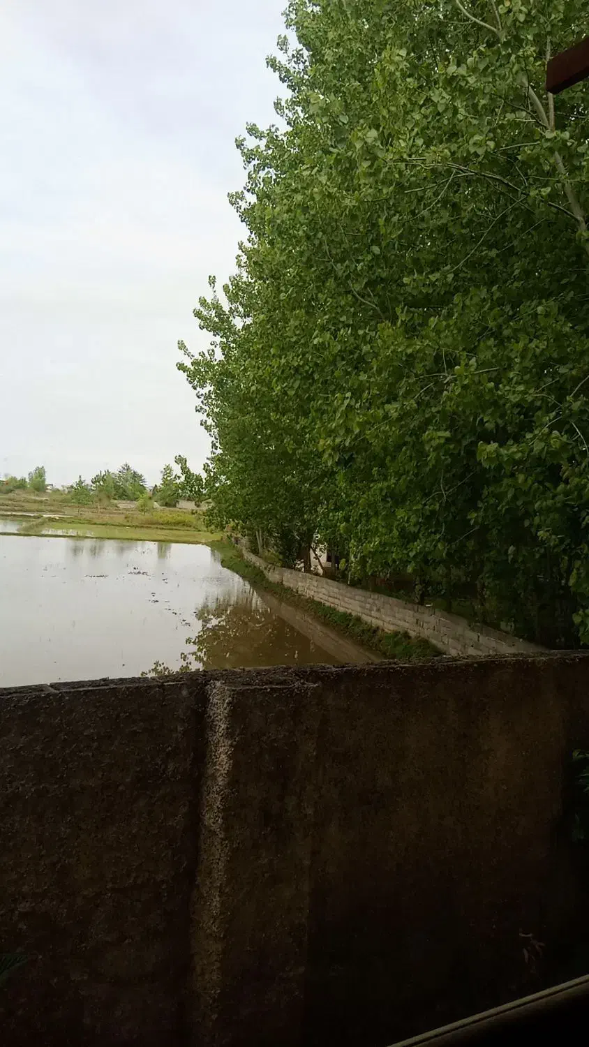 فروش زمین ساحلی