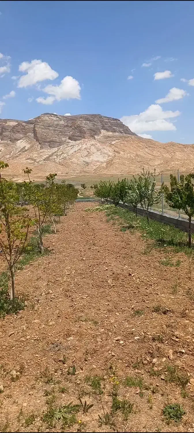 فروش باغ (زمین ۲۵۰۰ متر)