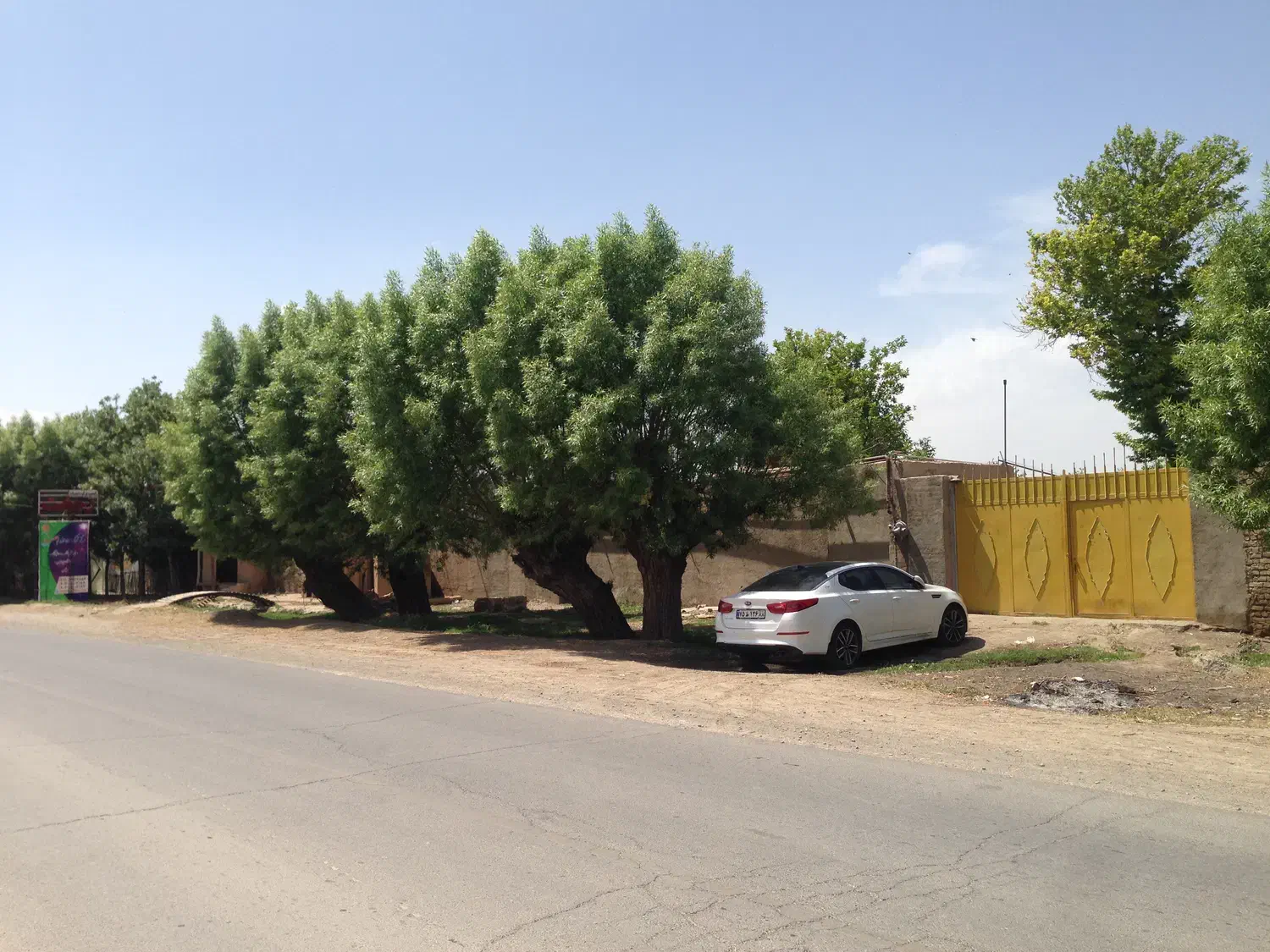 مرغداری ودامداری و سوله صنعتی وباغ پسته ومیوه