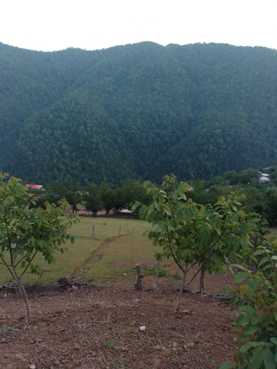 فروش زمین