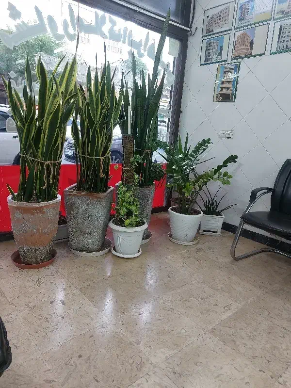 90متر دوخواب
