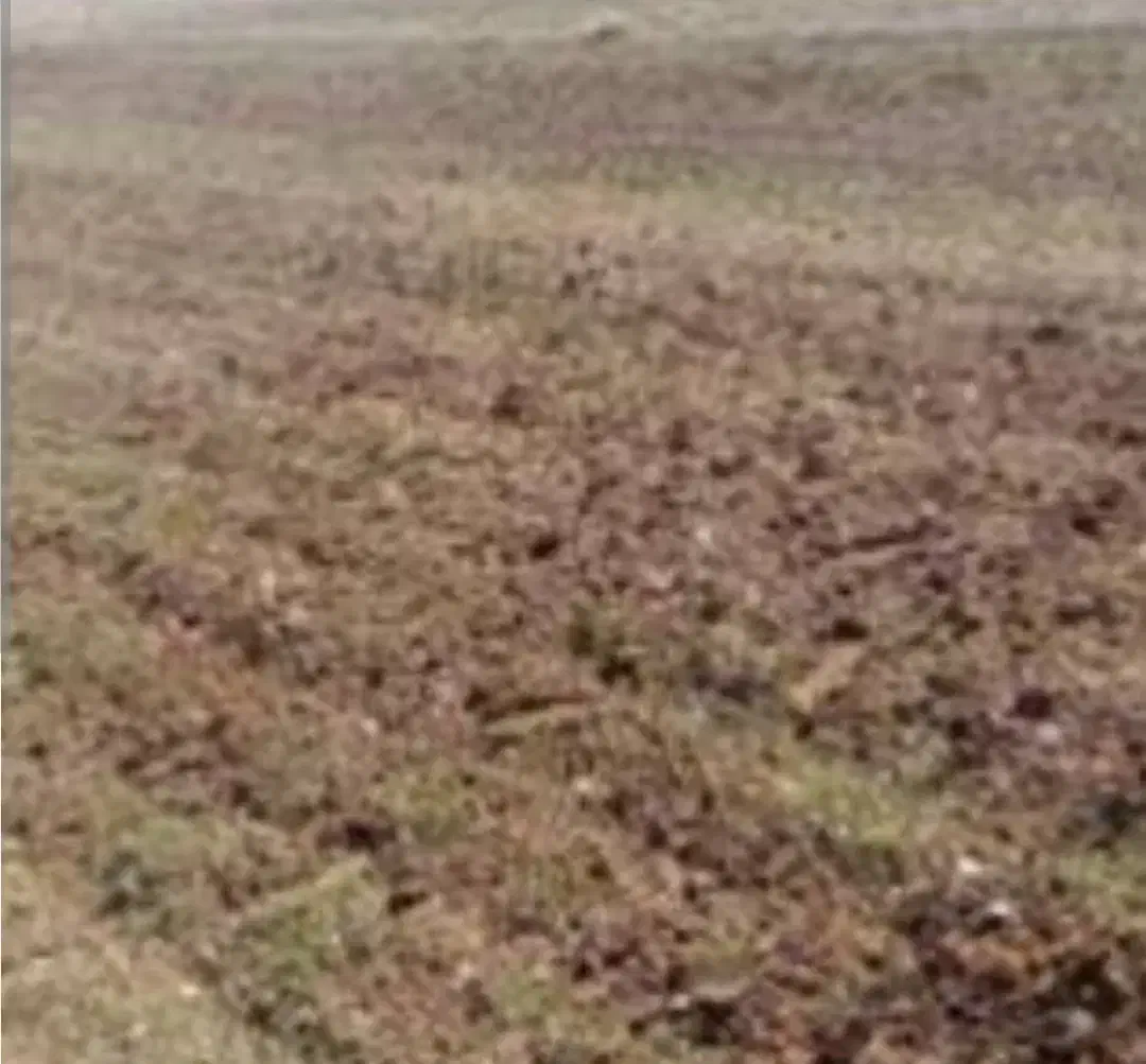 حدود نیم هکتار زمین باآب. سند دار حاشیه جاده