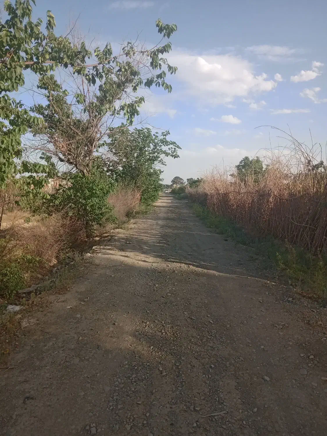 باغچه ترشنبه ۱۱۵۰متر
