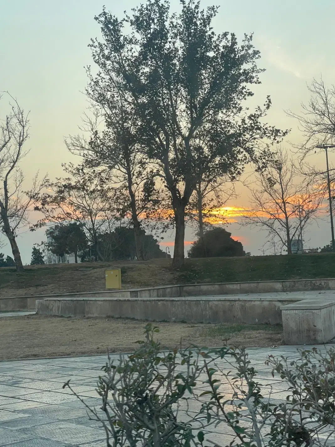 زمین مسکونی سند تک برگ