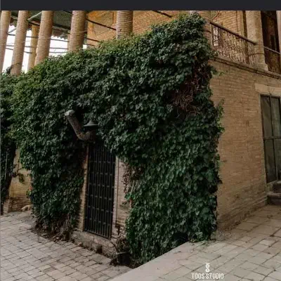 همخانه