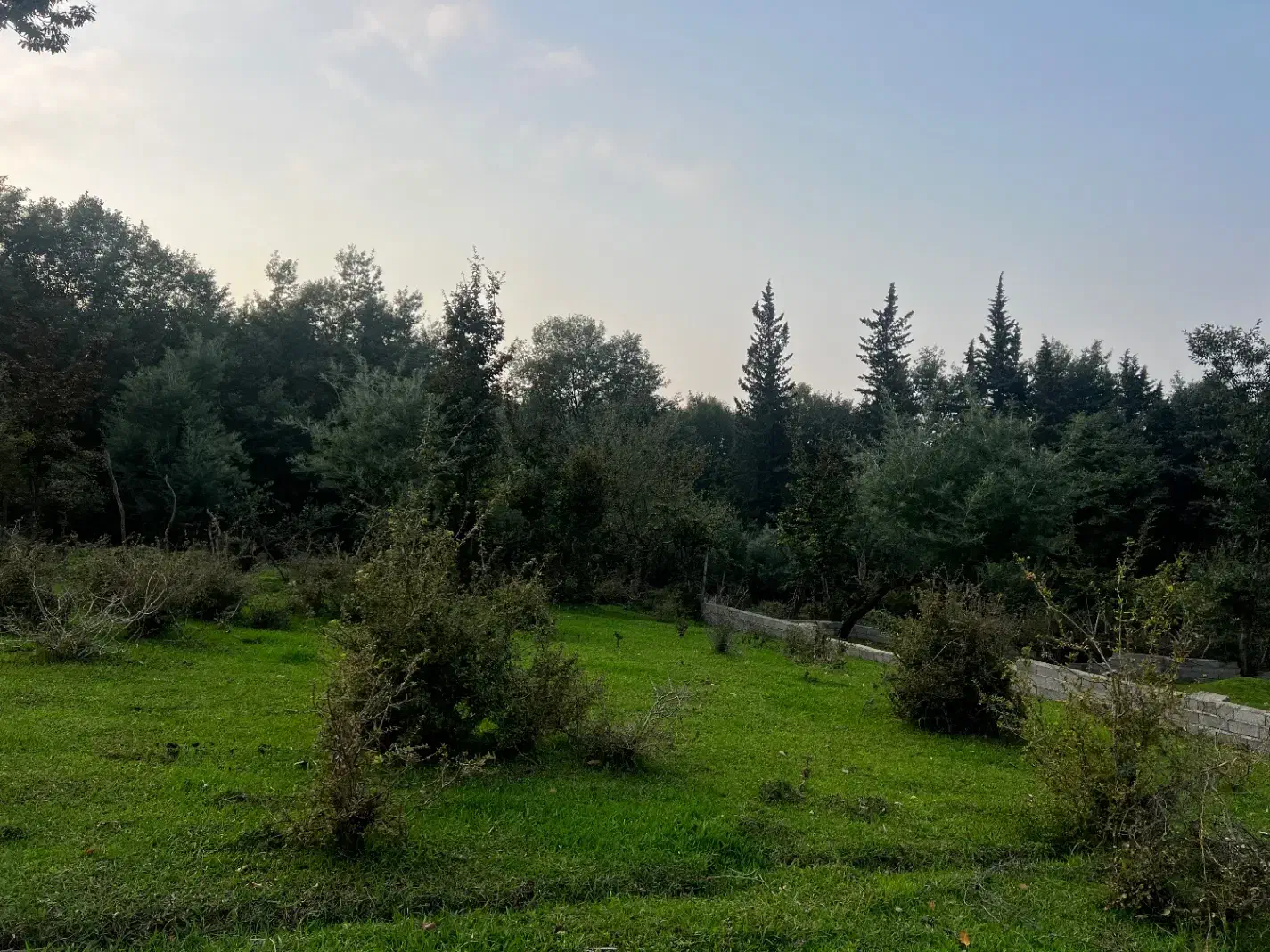 هچیرود فروش ۳۰۰ متر زمین داخل مجموعه