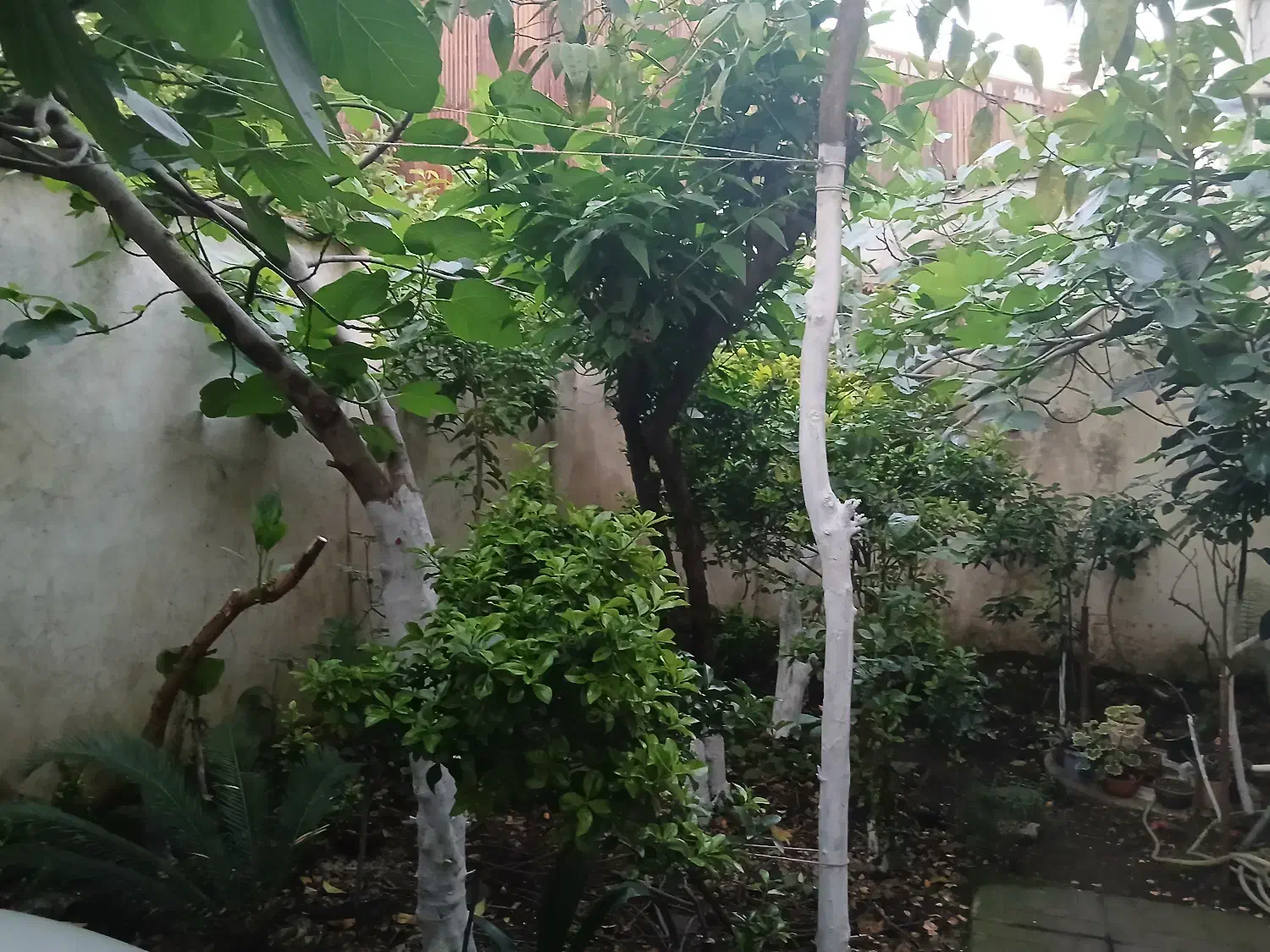 فروش ۲۱۵۰۰ متر زمین