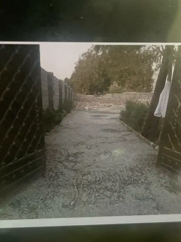 زمین مهرشهر بلوار ارم