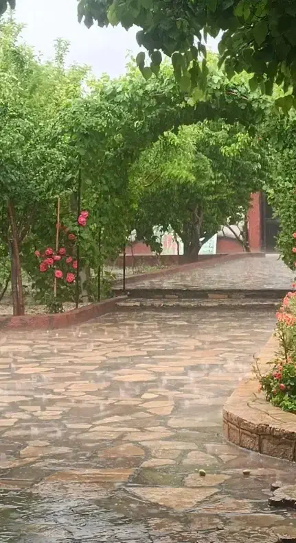 یک قطعه زمین.120متری درکشاورز3به فروش میرسد