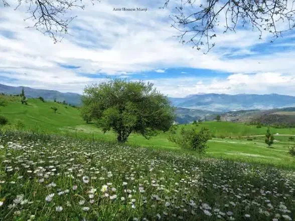فروش ۵۰۰ متر زمین در طبیعتی بی نظیر