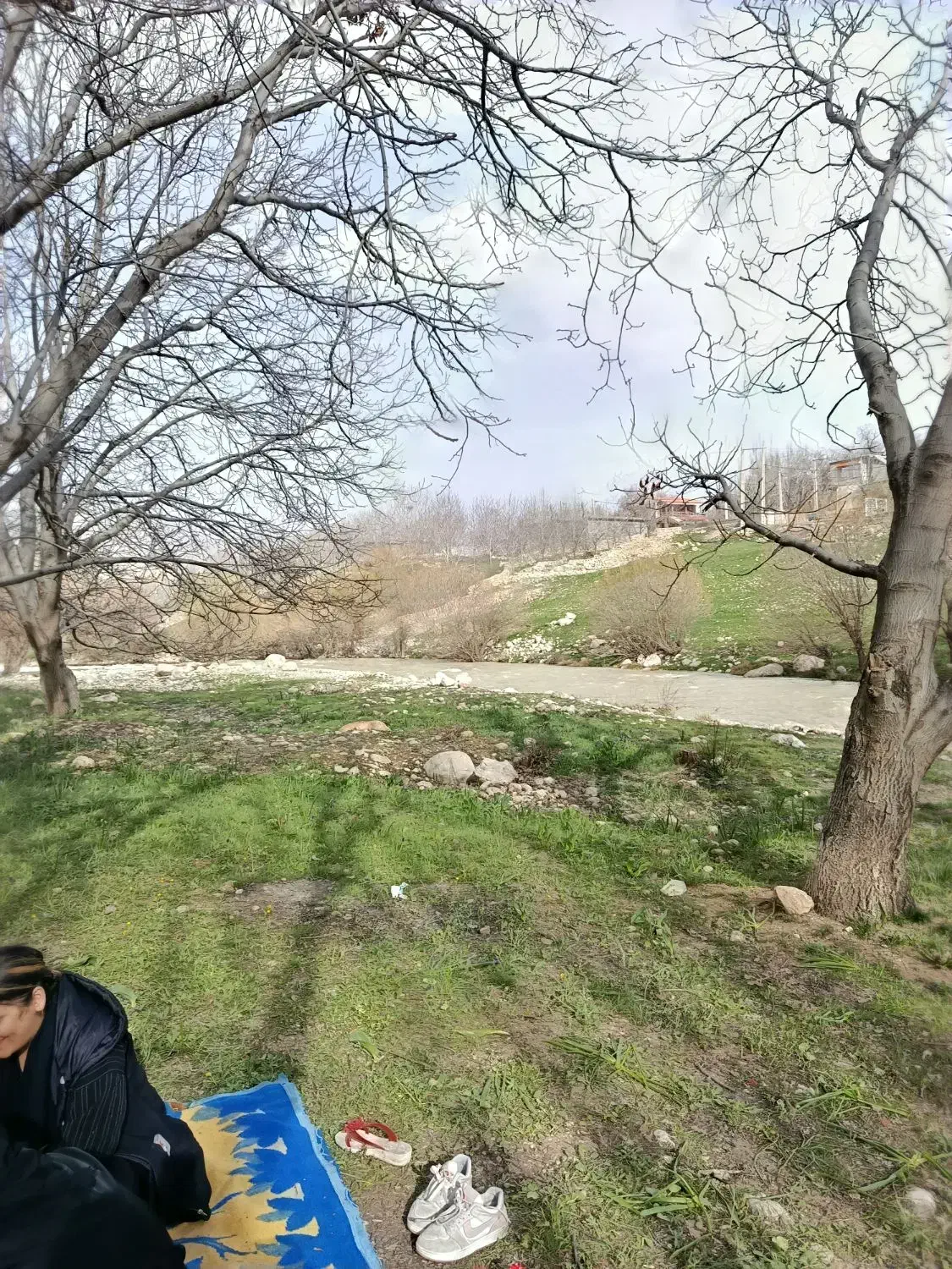 زمین