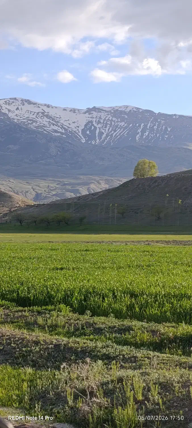 زمین روستای گجوت