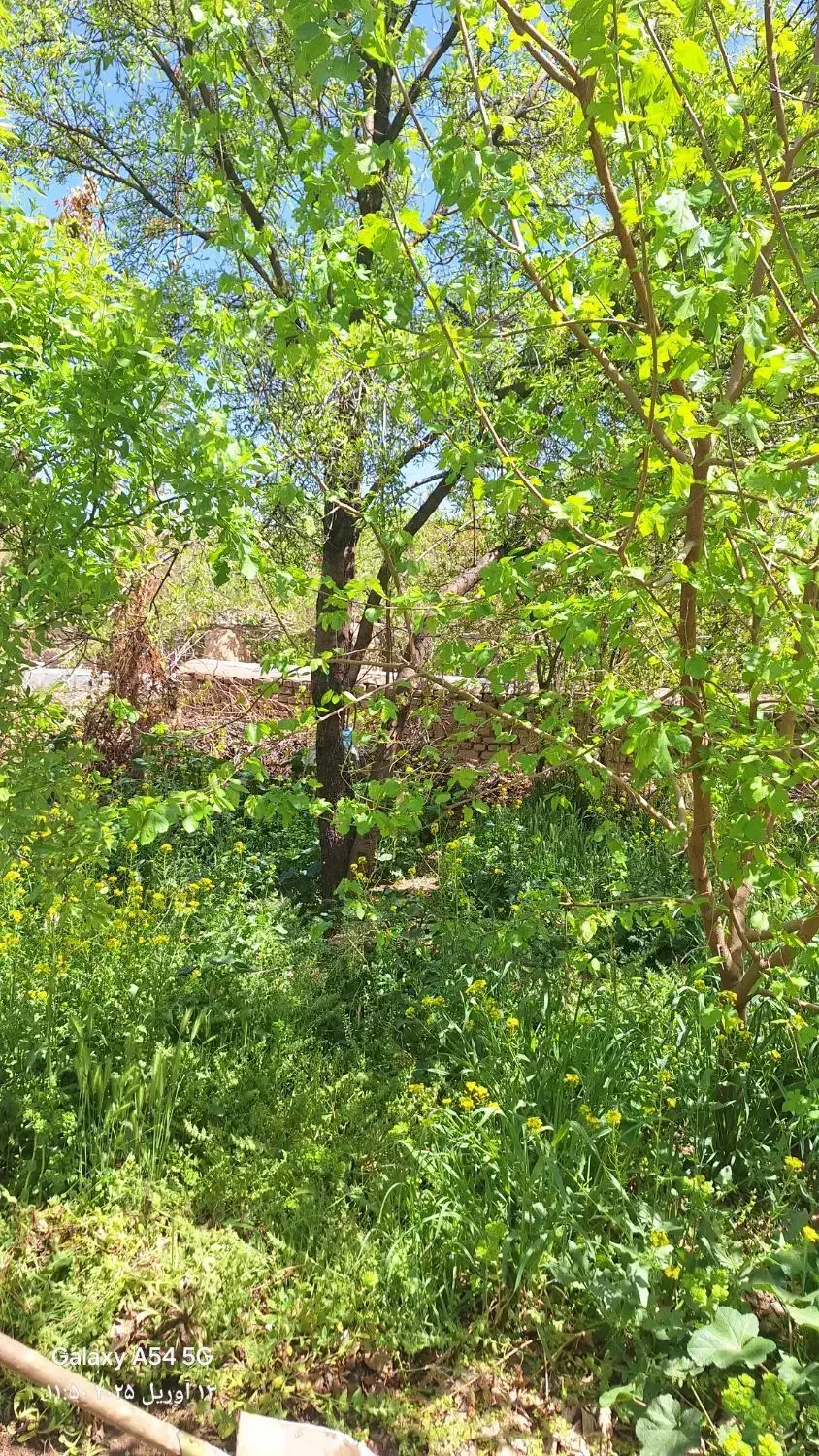 خونه باغ نیاسر 200متری آبشار