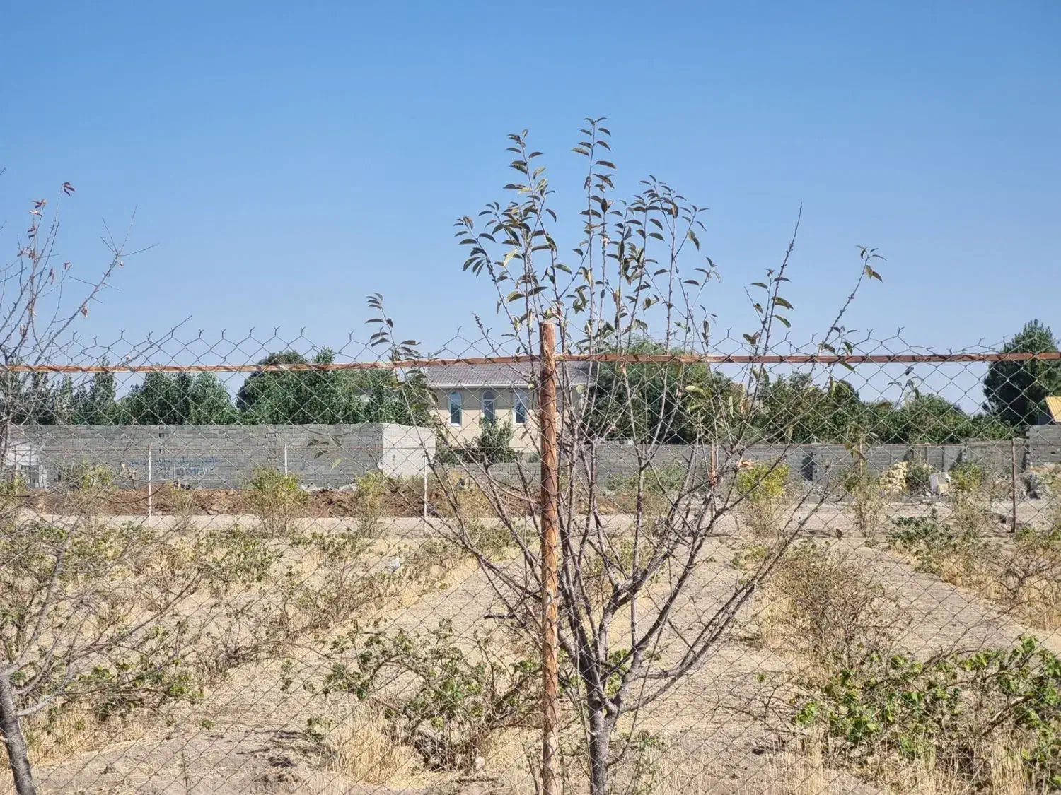 فروش زمین چسب بافت در سهیلیه  روستای دولت اباد