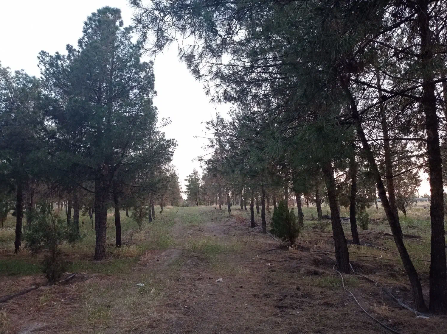فروش زمین روستای هشترود