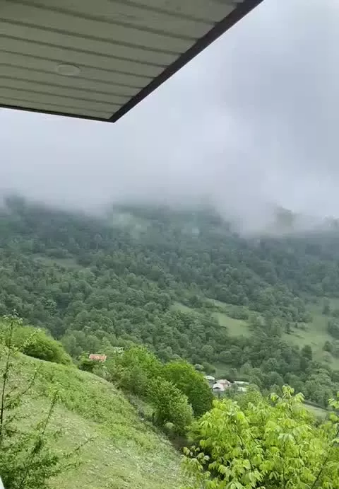 نزدیک به شهرتالش