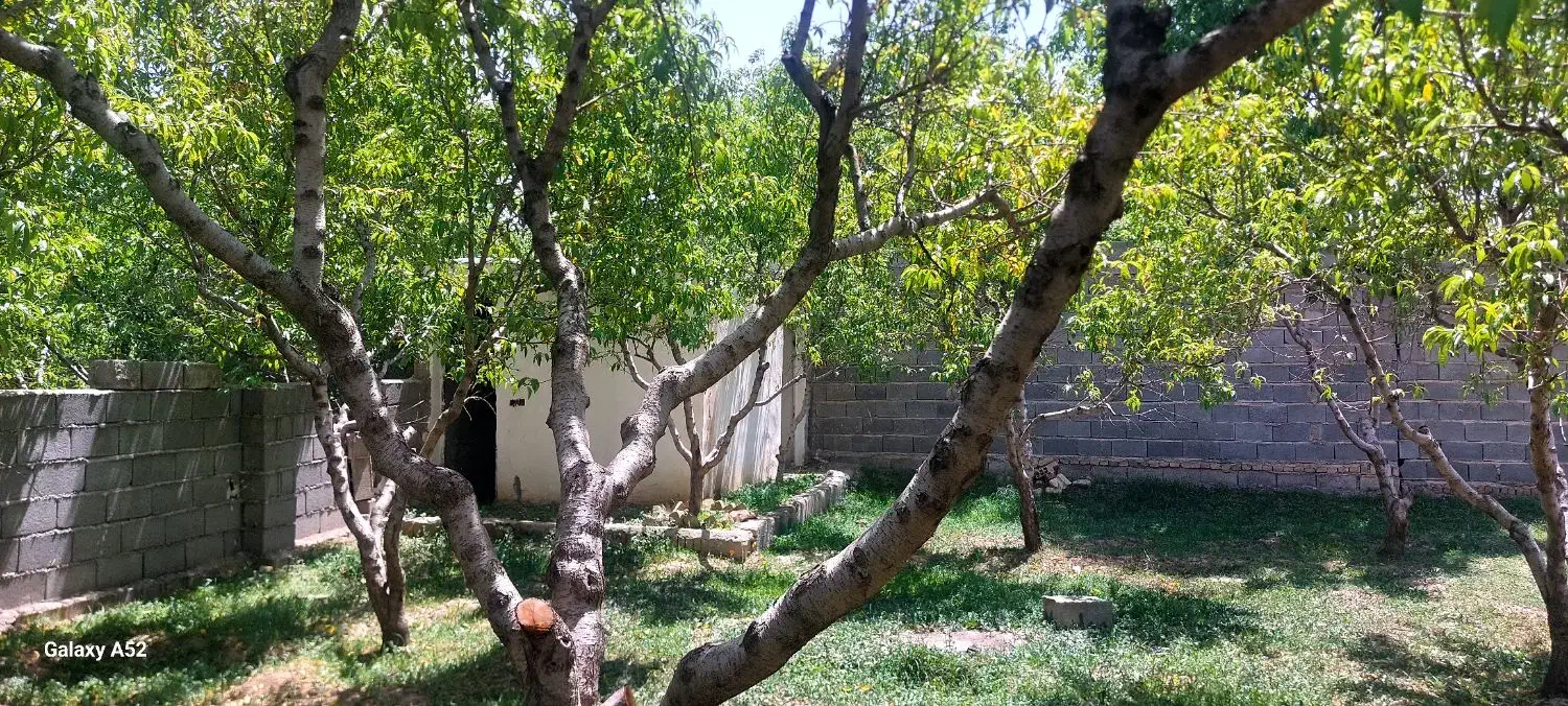 ۵۰۰متر باغچه چسب بافت