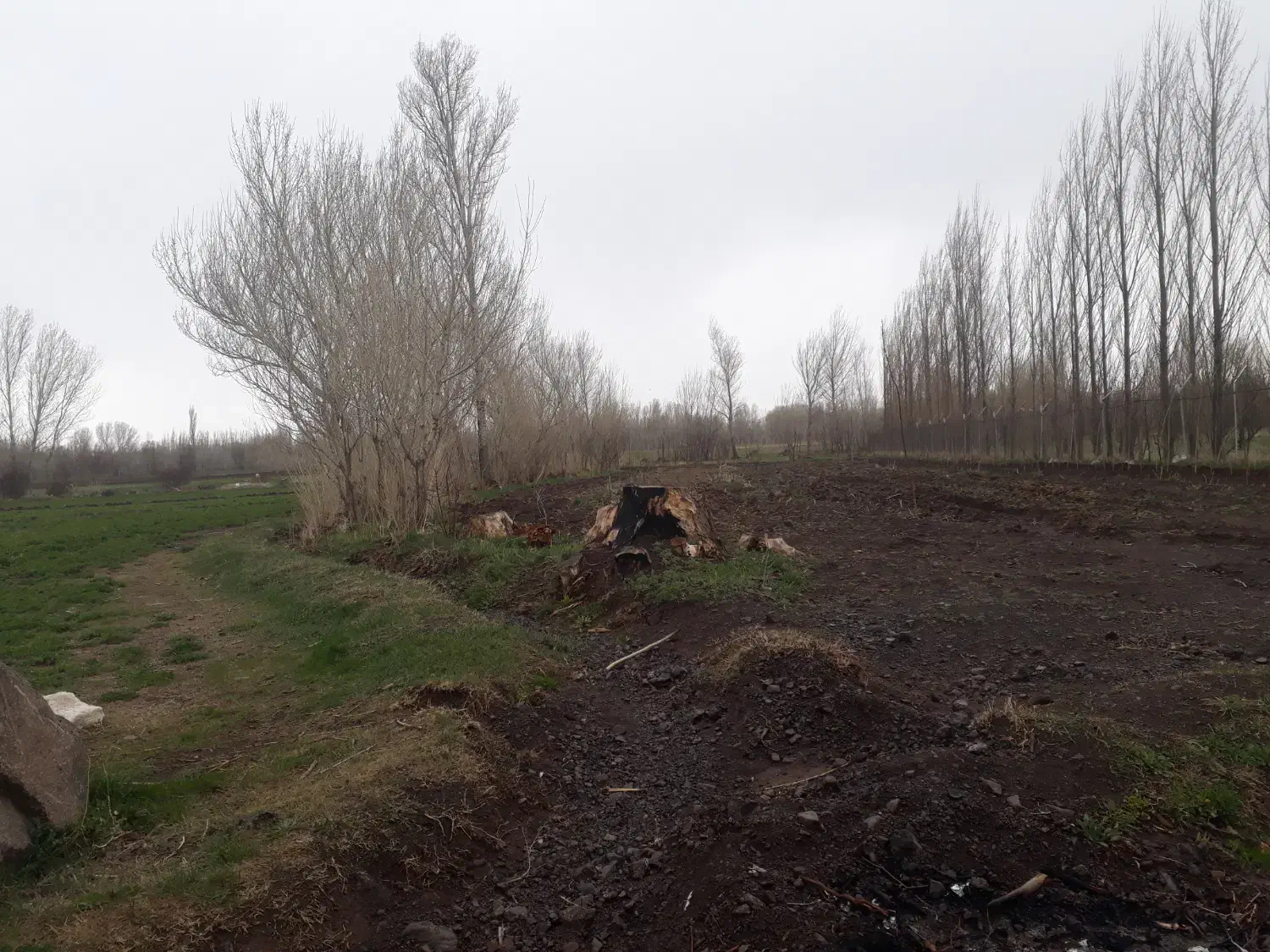 باغ در شهرستان سراب روستای مهین