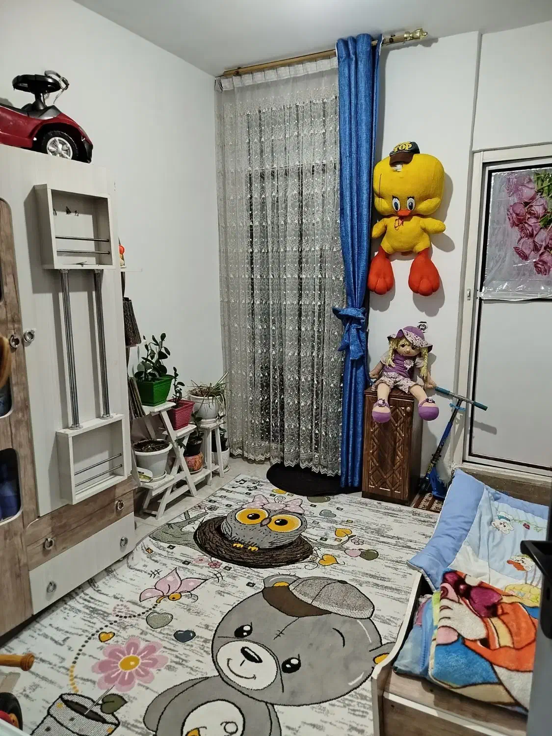 اپارتمان