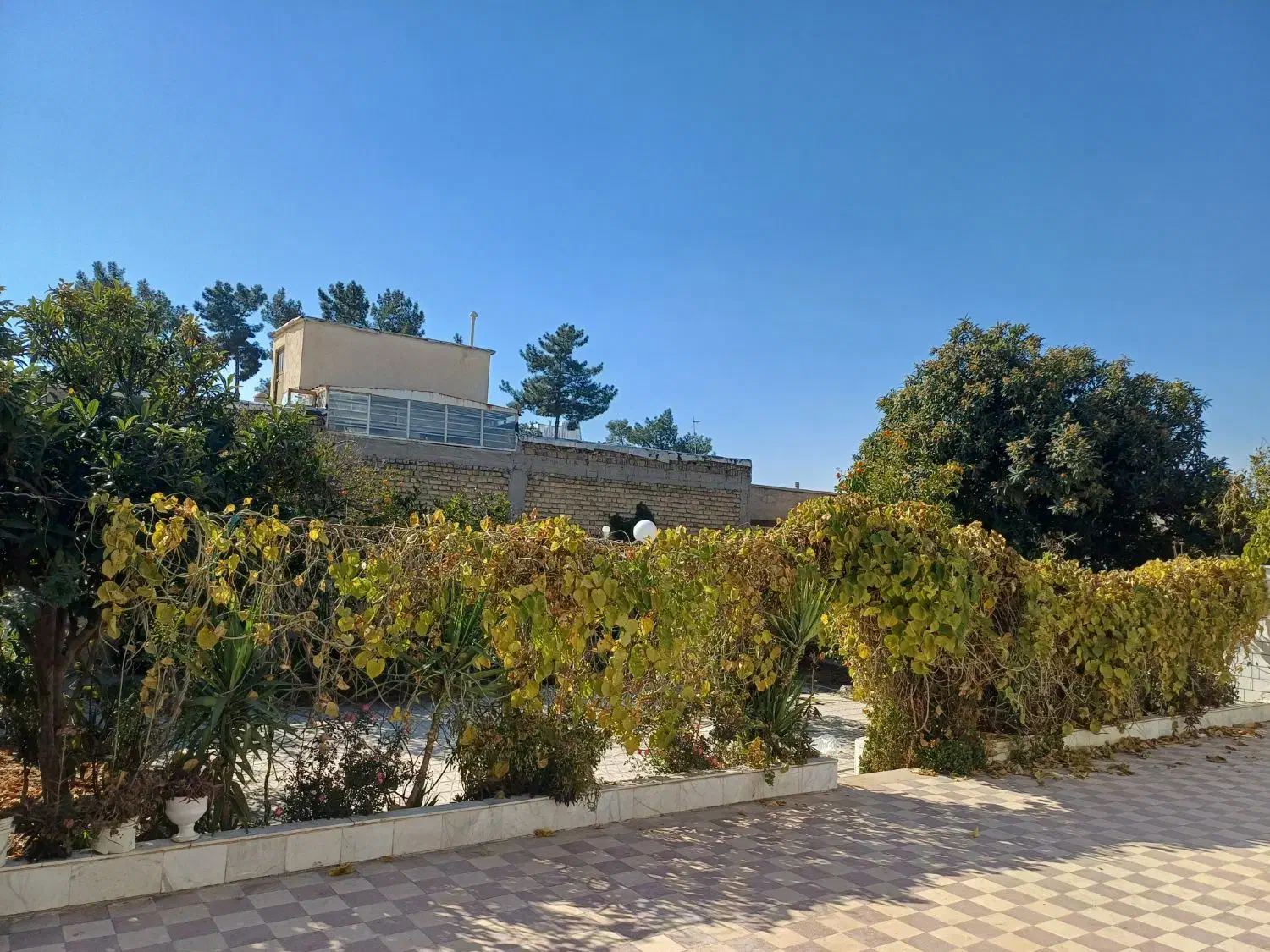 فروش
