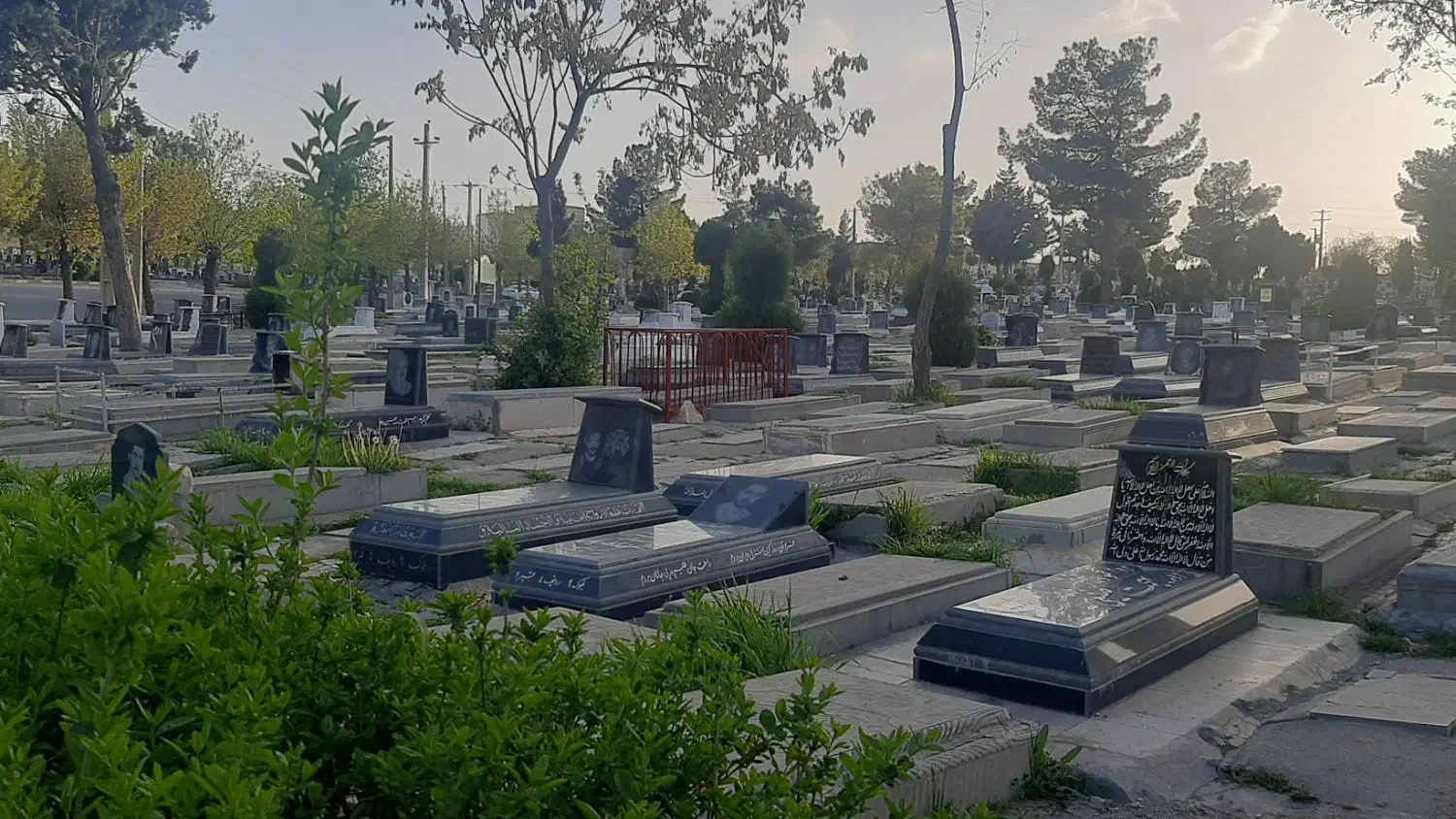 واگزاری قبر